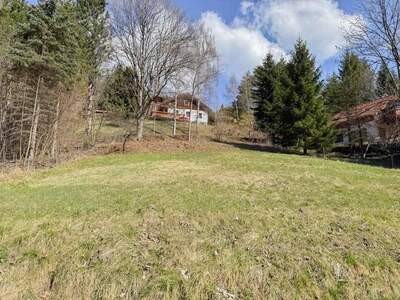 Grundstück kaufen in 2673 Breitenstein