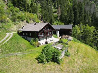 Gewerbeobjekt kaufen in 9911 Assling (Bild 2)