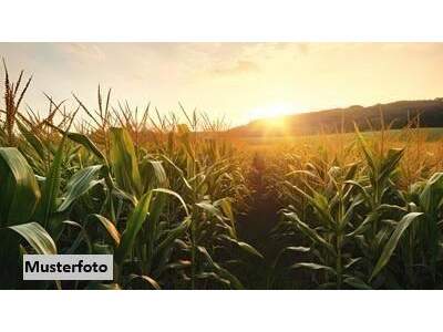 Gewerbeobjekt kaufen in 6365 Kirchberg