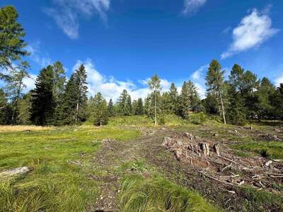 Grundstück kaufen in 9571 Albeck (Bild 5)