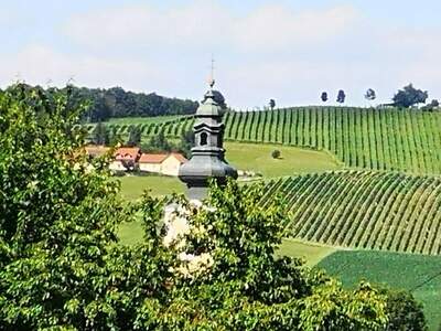 Gewerbeobjekt mieten in 8271 Bad Waltersdorf (Bild 4)