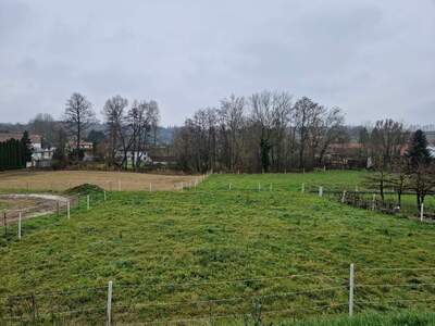 Grundstück kaufen in 3454 Sitzenberg