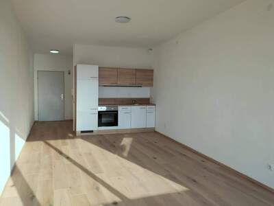 Mietwohnung provisionsfrei in 4050 Traun