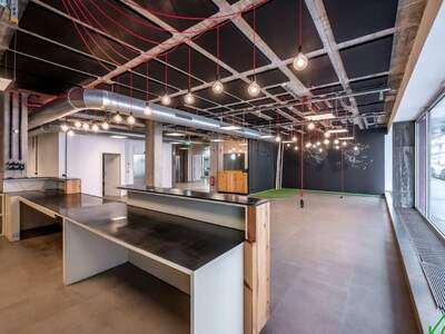 Gewerbeobjekt mieten in 1090 Wien (Bild 1)