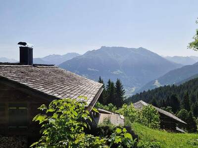 Haus kaufen in 6773 Vandans