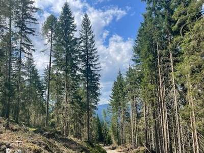 Gewerbeobjekt kaufen in 8861 Sankt Georgen (Bild 1)