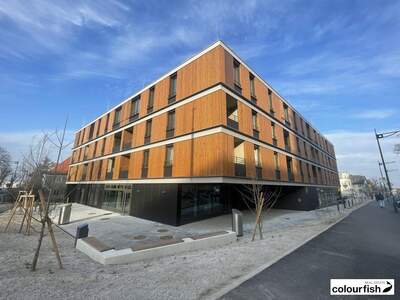 Gewerbeobjekt mieten in 2340 Mödling