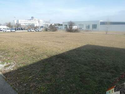 Gewerbeobjekt kaufen in 2700 Wiener Neustadt (Bild 5)