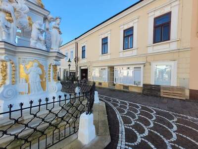 Gewerbeobjekt mieten in 7000 Eisenstadt