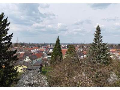 Grundstück kaufen in 3433 Königstetten