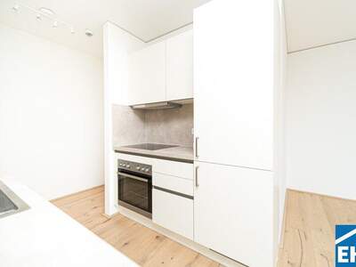 Terrassenwohnung kaufen in 1090 Wien (Bild 1)