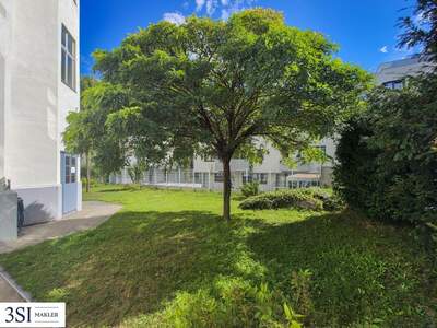 Altbauwohnung kaufen in 1130 Wien (Bild 4)