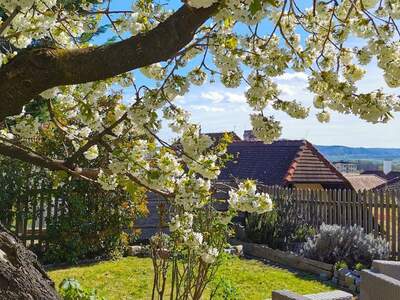 Haus kaufen in 3500 Krems