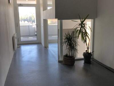 Terrassenwohnung kaufen in 9122 St. Kanzian (Bild 5)