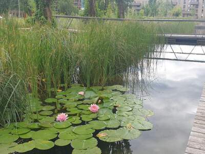 Mietwohnung in 8020 Graz (Bild 2)