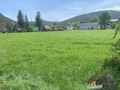 Grundstück kaufen in 2734 Puchberg (Bild 1)