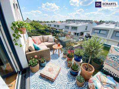 Terrassenwohnung mieten in 1220 Wien (Bild 1)