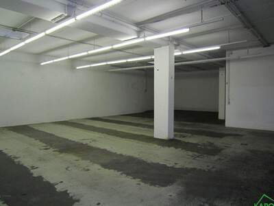 Gewerbeobjekt mieten in 1230 Wien (Bild 3)
