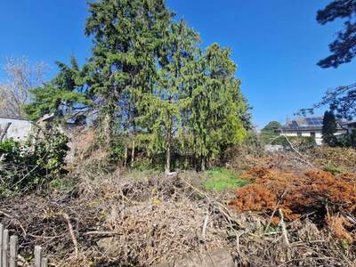 Grundstück kaufen in 3433 Königstetten