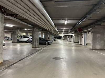 Immobilie kaufen in 1190 Wien (Bild 3)