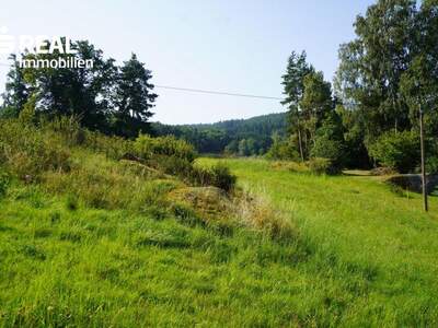 Grundstück kaufen in 3962 Heinrichs (Bild 3)