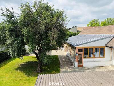 Gewerbeobjekt kaufen in 2424 Zurndorf (Bild 5)