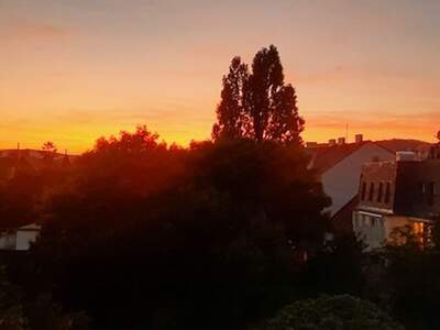 Mietwohnung in 1190 Wien (Bild 1)