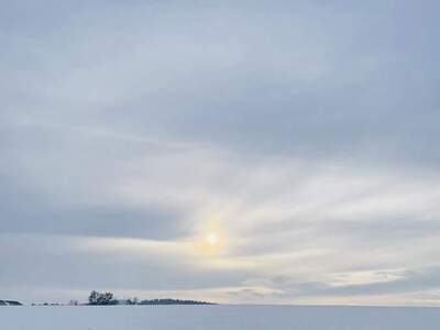 Grundstück kaufen in 4203 Altenberg