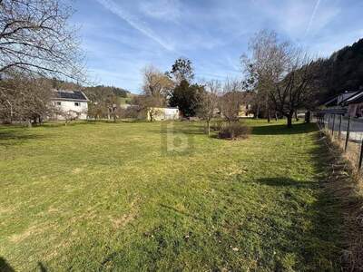 Grundstück kaufen in 3341 Ybbsitz