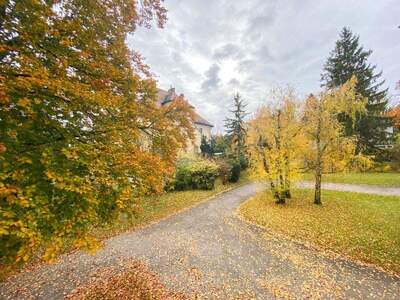 Eigentumswohnung in 1170 Wien