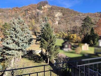 Haus kaufen in 2103 Langenzersdorf (Bild 5)