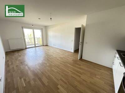 Terrassenwohnung mieten in 1210 Wien (Bild 3)