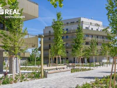 Terrassenwohnung kaufen in 1210 Wien (Bild 1)