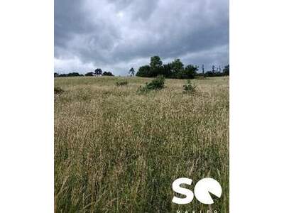 Grundstück kaufen in 3051 Neulengbach