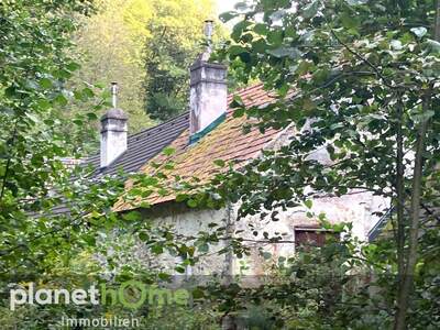 Haus kaufen in 2802 Hochwolkersdorf (Bild 1)