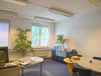 Gewerbeobjekt mieten in 8055 Graz (Bild 4)