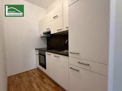 Terrassenwohnung mieten in 1220 Wien (Bild 3)