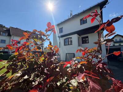 Anlageobjekt kaufen in 5020 Salzburg
