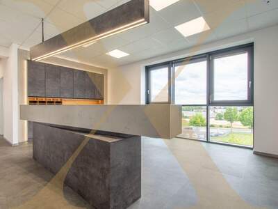 Gewerbeobjekt mieten in 4060 Leonding (Bild 1)