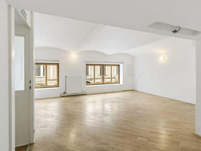 Gewerbeobjekt mieten in 1060 Wien (Bild 4)