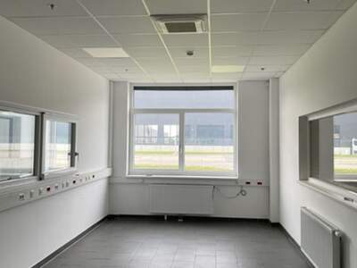 Gewerbeobjekt mieten in 2431 Enzersdorf (Bild 2)