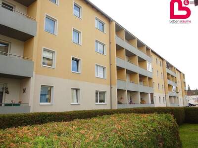 Wohnung mieten in 4240 Freistadt (Bild 2)