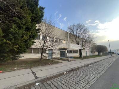 Gewerbeobjekt mieten in 1110 Wien (Bild 3)