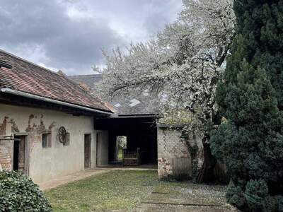 Haus kaufen in 2153 Patzmannsdorf