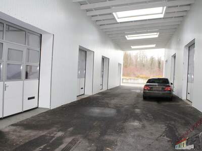 Halle / Lager / Produktion mieten in 2401 Fischamend (Bild 4)