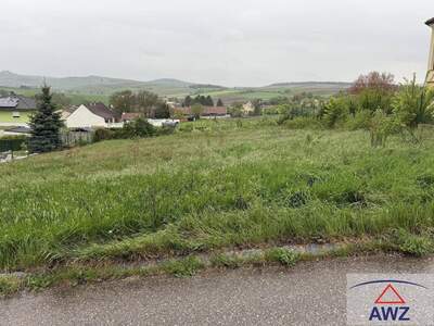 Grundstück kaufen in 2161 Poysbrunn