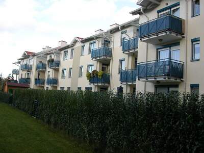 Mietwohnung in 2020 Hollabrunn