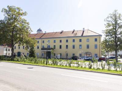 Altbauwohnung mieten in 2432 Schwadorf (Bild 4)