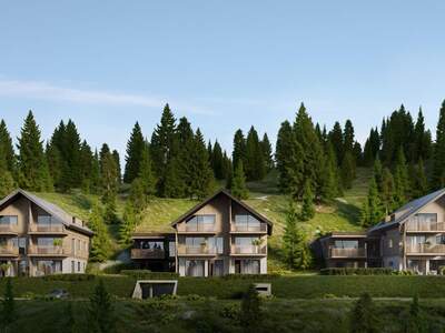 Gewerbeobjekt kaufen in 9571 Hochrindl (Bild 5)