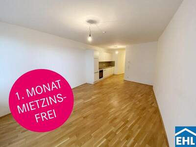 Terrassenwohnung mieten in 1100 Wien (Bild 1)